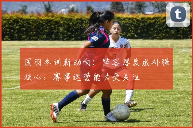 国羽冬训新动向：阵容厚度成补强核心，赛事运营能力受关注