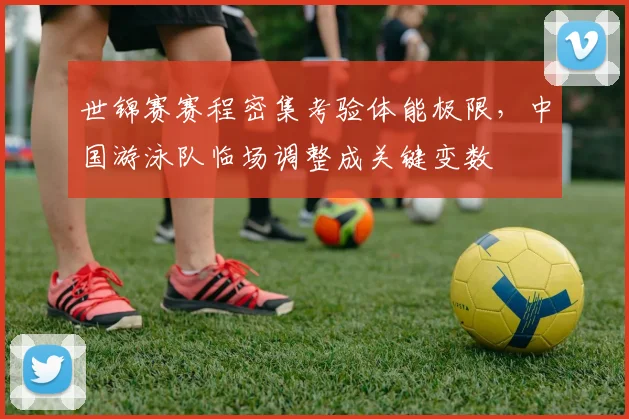 世锦赛赛程密集考验体能极限，中国游泳队临场调整成关键变数