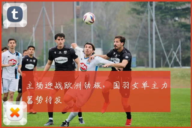 主场迎战欧洲劲旅，国羽女单主力蓄势待发